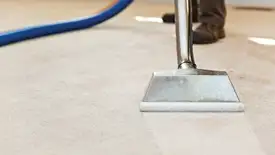 Carpet cleaning wand head gliding over a light carpet during hot-water extraction, San Antonio, TX.
