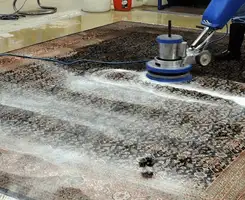 Professional rug cleaning with a rotary floor machine and shampoo foam, deep-cleaning an area rug, in San Antonio, TX.