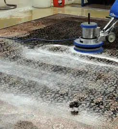 Professional rug cleaning with a rotary floor machine and shampoo foam, deep-cleaning an area rug San Antonio, TX.